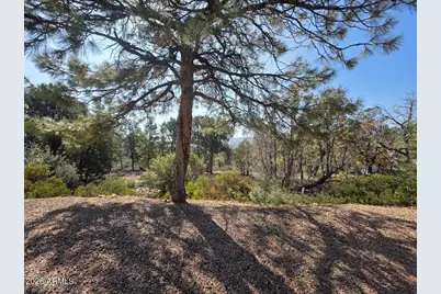 949 Geronimo Lane, Show Low, AZ 85901 - Photo 45