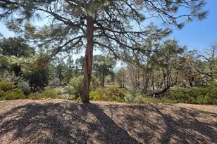 949 Geronimo Ln, Show Low, AZ 85901 - Photo 45