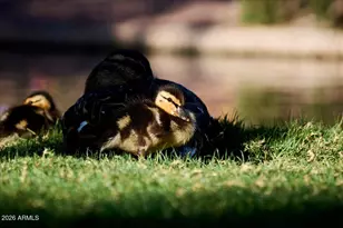 43423 N National Ct, New River, AZ 85087 - Photo 101