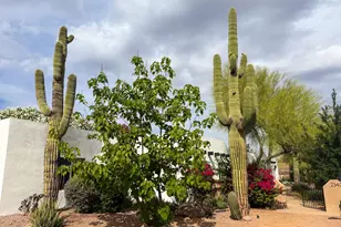 23405 N 84th St, Scottsdale, AZ 85255 - Photo 37