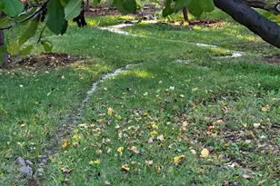 1225 N Willow Point Rd, Cornville, AZ 86325 - Photo 111