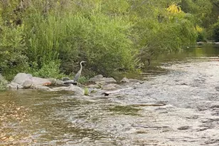 1225 N Willow Point Rd, Cornville, AZ 86325 - Photo 89