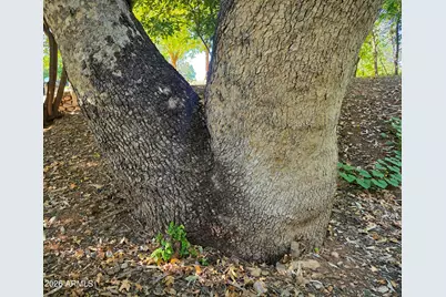 1225 N Willow Point Road, Cornville, AZ 86325 - Photo 131