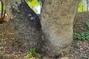 1225 N Willow Point Rd, Cornville, AZ 86325 - Photo 131