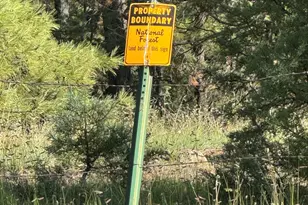 31 E County Road N2163 Dr, Nutrioso, AZ 85932 - Photo 57