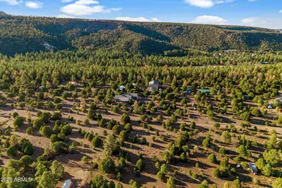 31 E County Road N2163 Drive, Nutrioso, AZ 85932 - Photo 47