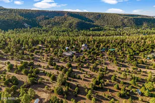 31 E County Road N2163 Dr, Nutrioso, AZ 85932 - Photo 47