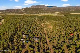 31 E County Road N2163 Dr, Nutrioso, AZ 85932 - Photo 51