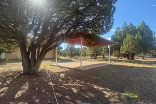 31 E County Road N2163 Dr, Nutrioso, AZ 85932 - Photo 61