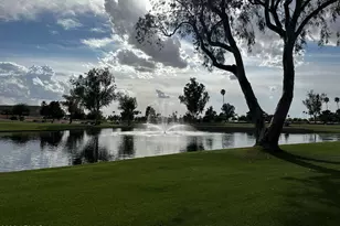 26006 S Beech Creek Dr, Sun Lakes, AZ 85248 - Photo 29