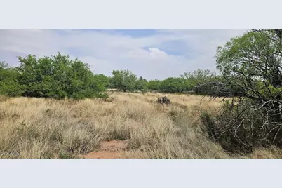 1Ac Lot C Stephanie Place #2, Hereford, AZ 85615 - Photo 9