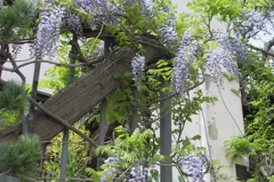 100 Hill St, Jerome, AZ 86331 - Photo 5