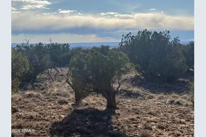 Lot 215 Woodland Valley Ranch -- #215, Saint Johns, AZ 85936 - Photo 7