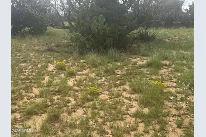 Lot 215 Woodland Valley Ranch -- #215, Saint Johns, AZ 85936 - Photo 7