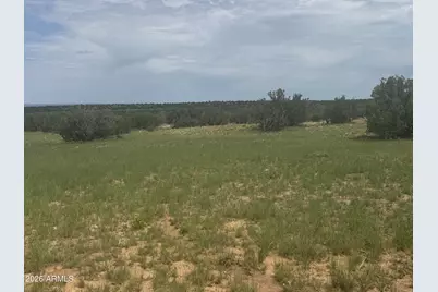 Lot 215 Woodland Valley Ranch -- #215, Saint Johns, AZ 85936 - Photo 5