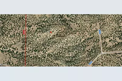 Lot 215 Woodland Valley Ranch -- #215, Saint Johns, AZ 85936 - Photo 17