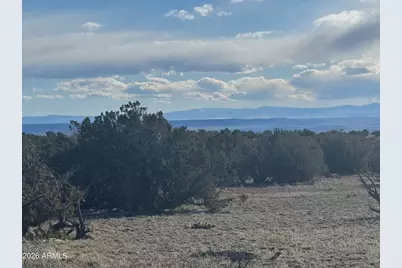 Lot 215 Woodland Valley Ranch -- #215, Saint Johns, AZ 85936 - Photo 9