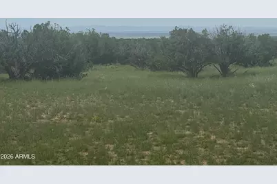 Lot 215 Woodland Valley Ranch -- #215, Saint Johns, AZ 85936 - Photo 3