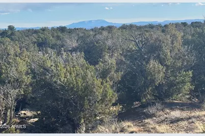 Lot 215 Woodland Valley Ranch -- #215, Saint Johns, AZ 85936 - Photo 11