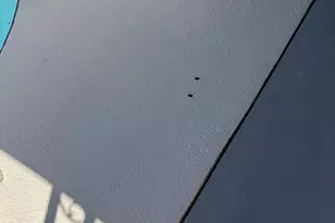 6036 North 8th St, Phoenix, AZ 85014 - Photo 35