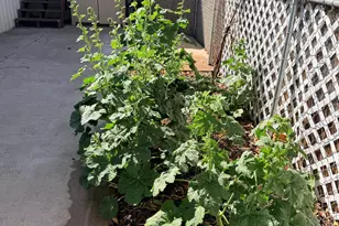 325 W State Route 89A St, Cottonwood, AZ 86326 - Photo 25