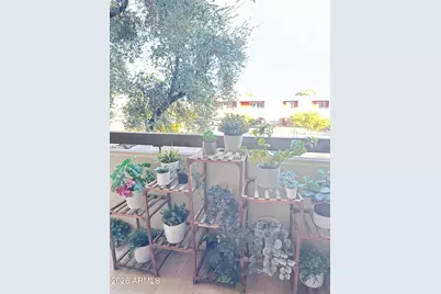 7625 E Camelback Road E #B227, Scottsdale, AZ 85251 - Photo 31