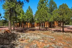 6841 Whispering Pine Dr, Happy Jack, AZ 86024 - Photo 57