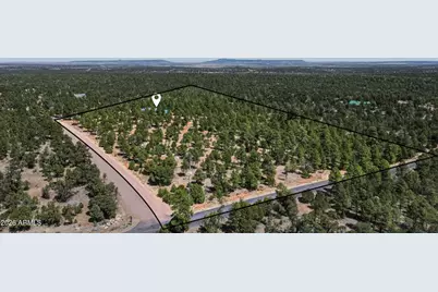 6841 Whispering Pine Drive, Happy Jack, AZ 86024 - Photo 3