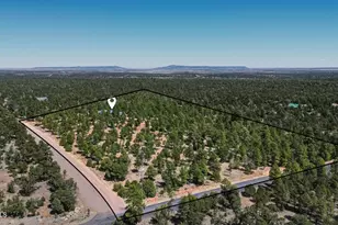 6841 Whispering Pine Dr, Happy Jack, AZ 86024 - Photo 3