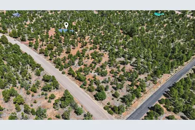 6841 Whispering Pine Drive, Happy Jack, AZ 86024 - Photo 61