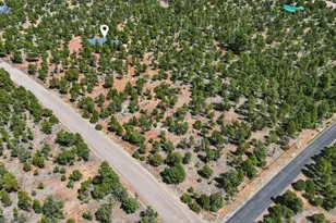 6841 Whispering Pine Dr, Happy Jack, AZ 86024 - Photo 61