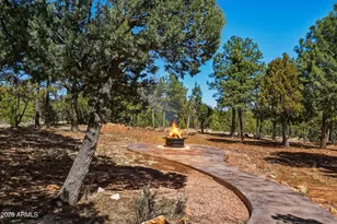 6841 Whispering Pine Dr, Happy Jack, AZ 86024 - Photo 47