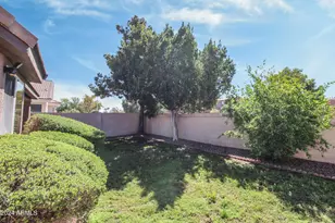 1375 W Musket, Chandler, AZ 85286 - Photo 39