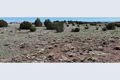 Tbd Windsor Valley Ranch Lot -- #142, Concho, AZ 85924 - Photo 19