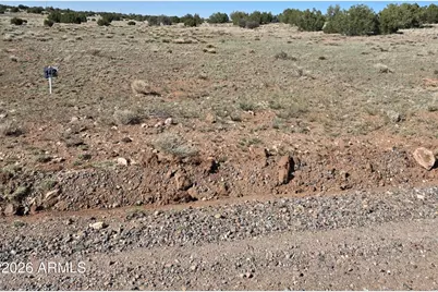 Tbd Windsor Valley Ranch Lot -- #142, Concho, AZ 85924 - Photo 9