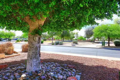 6214 E Virginia Street, Mesa, AZ 85215 - Photo 3