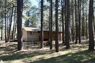 1667 Little Pine Trail, Forest Lakes, AZ 85931 - Photo 35