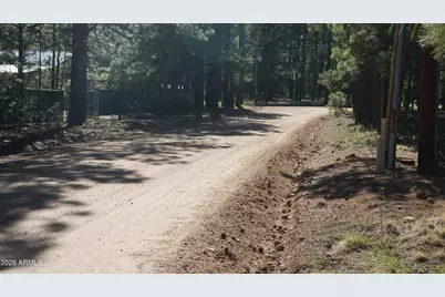 1667 Little Pine Trail, Forest Lakes, AZ 85931 - Photo 41