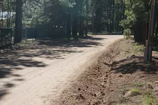 1667 Little Pine Trail, Forest Lakes, AZ 85931 - Photo 41