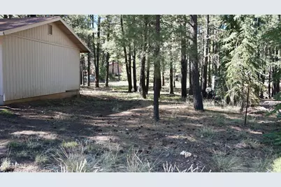 1667 Little Pine Trail, Forest Lakes, AZ 85931 - Photo 29