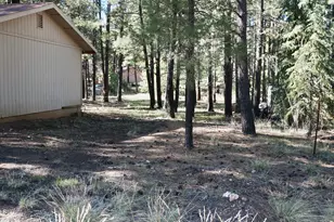 1667 Little Pine Trail, Forest Lakes, AZ 85931 - Photo 29