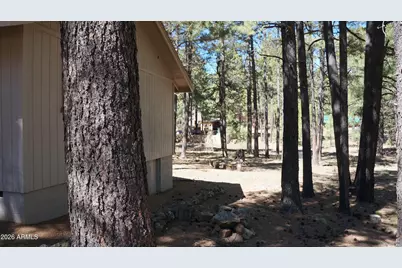 1667 Little Pine Trail, Forest Lakes, AZ 85931 - Photo 33