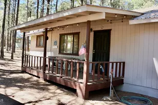 1667 Little Pine Trail, Forest Lakes, AZ 85931 - Photo 1