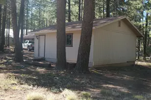 1667 Little Pine Trail, Forest Lakes, AZ 85931 - Photo 31