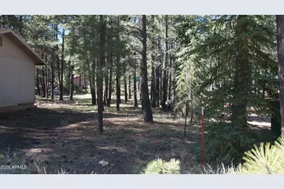 1667 Little Pine Trail, Forest Lakes, AZ 85931 - Photo 37