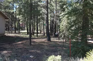 1667 Little Pine Trail, Forest Lakes, AZ 85931 - Photo 37