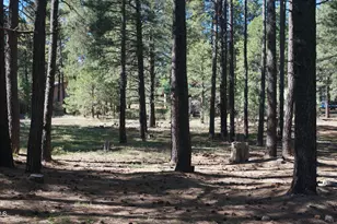 1667 Little Pine Trail, Forest Lakes, AZ 85931 - Photo 39