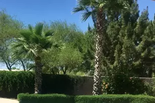 2352 S Boca Cir, Mesa, AZ 85209 - Photo 43