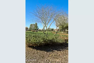 41801 W Cactus Flower --, Maricopa, AZ 85138 - Photo 59
