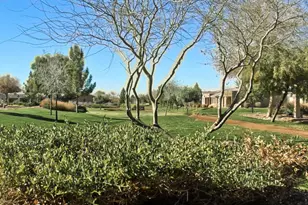 41801 W Cactus Flower --, Maricopa, AZ 85138 - Photo 59